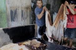 Proses Pembuatan Kulit dari Hewan Menjadi Bahan Kulit - Kael Leather Goods