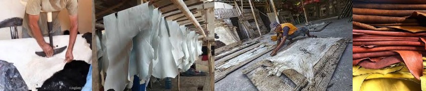 Tahap Awal Pengolahan Kulit Mentah