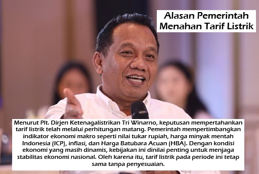 Alasan Pemerintah Menahan Tarif Listrik